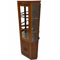 Chinese rosewood corner display cabinet, upper glazed illuminated cabinet above lower cupboard