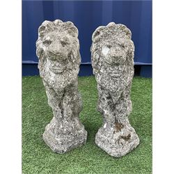 Pair composite stone seated lion figures/gate post toppers - THIS LOT IS TO BE COLLECTED BY APPOINTMENT FROM DUGGLEBY STORAGE, GREAT HILL, EASTFIELD, SCARBOROUGH, YO11 3TX
