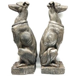 Pair of composite figures of greyhounds, modelled seated on a square base, H78cm 
