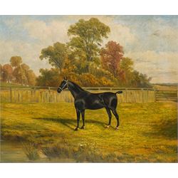 Albert James Clark (British 1858-1943): Portrait of a Black Horse with Docked Tail, oil on...