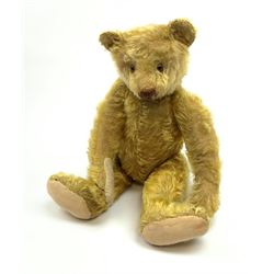 Early 20th century German teddy bear c1920, probably Steiff or Bing, with wood wool filled humped back golden mohair body, swivel jointed head with glass eyes and brown vertically stitched nose and mouth, jointed limbs with elongated arms and felt paw pads with black stitched claws H18