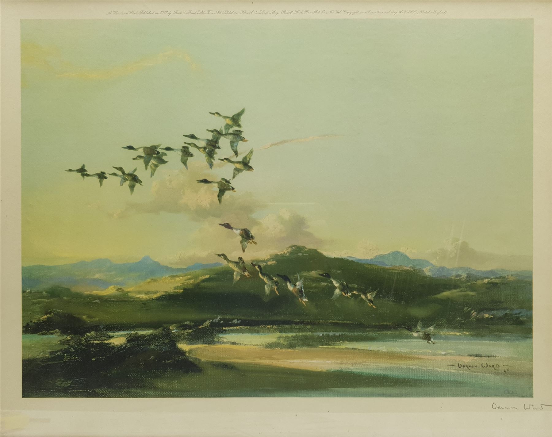 Vernon Ward (British 1905-1985): Mallards Rising, colour print signed in pencil pub. Frost & Reed 1947, 48cm x 61cm