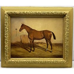 George Paice (British 1854–1925): Portrait of a Hunter in Stable Setting, oil on board signed 39cm x 49cm