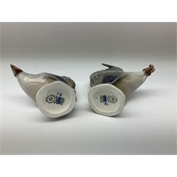 Eight Royal Copenhagen figures, cockerel 1025, hen 1024, group of two geese 609, robin 2266, squirrel 982, cockerel 1127, goose 1088 and owl 1741.  