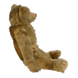 Early 20th century teddy bear, probably German, blonde mohair bear with glass eyes, straw filled snout with stitched nose, hand stitched centre seam, wood wool filled body, jointed limbs, swivel head and hump to back, H67cm
