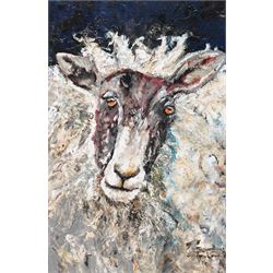 Ann Lamb (British 1955-): Sheep Portrait, mixed media on canvas signed 45cm x 30cm (unframed)