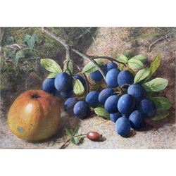 Charles Henry Slater (British 1820-1890): Still Life of Grapes and an Apple, watercolour signed 20cm x 29cm 