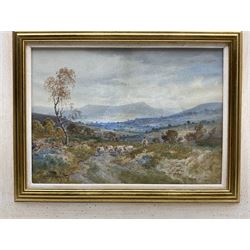 Charles Pigott (British 1860-1940): Driving Sheep in the 'Derbyshire Hills', watercolour signed, titled verso 25cm x 35cm; M Reid (British early 20th century): Ploughing, watercolour signed and dated 1920, 25cm x 36cm; together with a further unsigned landscape watercolour 16cm x 24cm (3)
