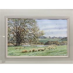 David Newbould (British 1938-2018): 'Ledston Hall from Newton Ings' Castleford, watercolour signed and dated 2000, titled verso 26cm x 43cm; R Battye (British 20th century): Swans on the Canal, watercolour signed watercolour signed 25cm x 35cm (2)