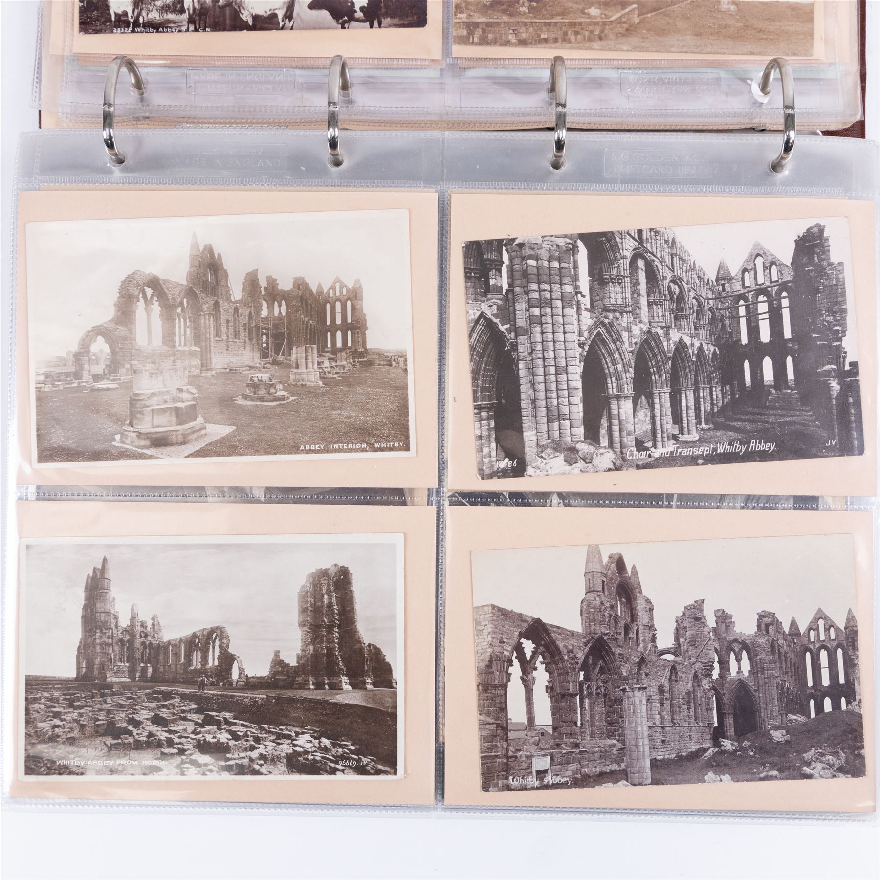 Two-hundred and thirty eight early 19th century to 20th century Whitby view postcards, including twenty-four early 19th century court cards, seventeen views of Whitby Abbey, forty depicting the fishing fleet and harbour, with a selection of cards providing a detailed study of the early 'Yards' the fisherman's dwellings around the harbour, all housed within a Stanley Gibbons Picture Postcard Album