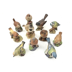  Eleven Royal Worcester, Beswick, Royal Adderley and other matt glazed birds including a Crested Tit, Wren, Robin, Blue Tit etc (11)  
