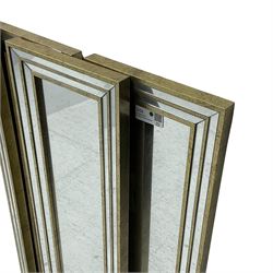 Six narrow rectangular wall mirrors