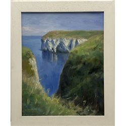 Neil Tyler (British 1945-): Flamborough Head, oil on canvas signed 50cm x 39cm