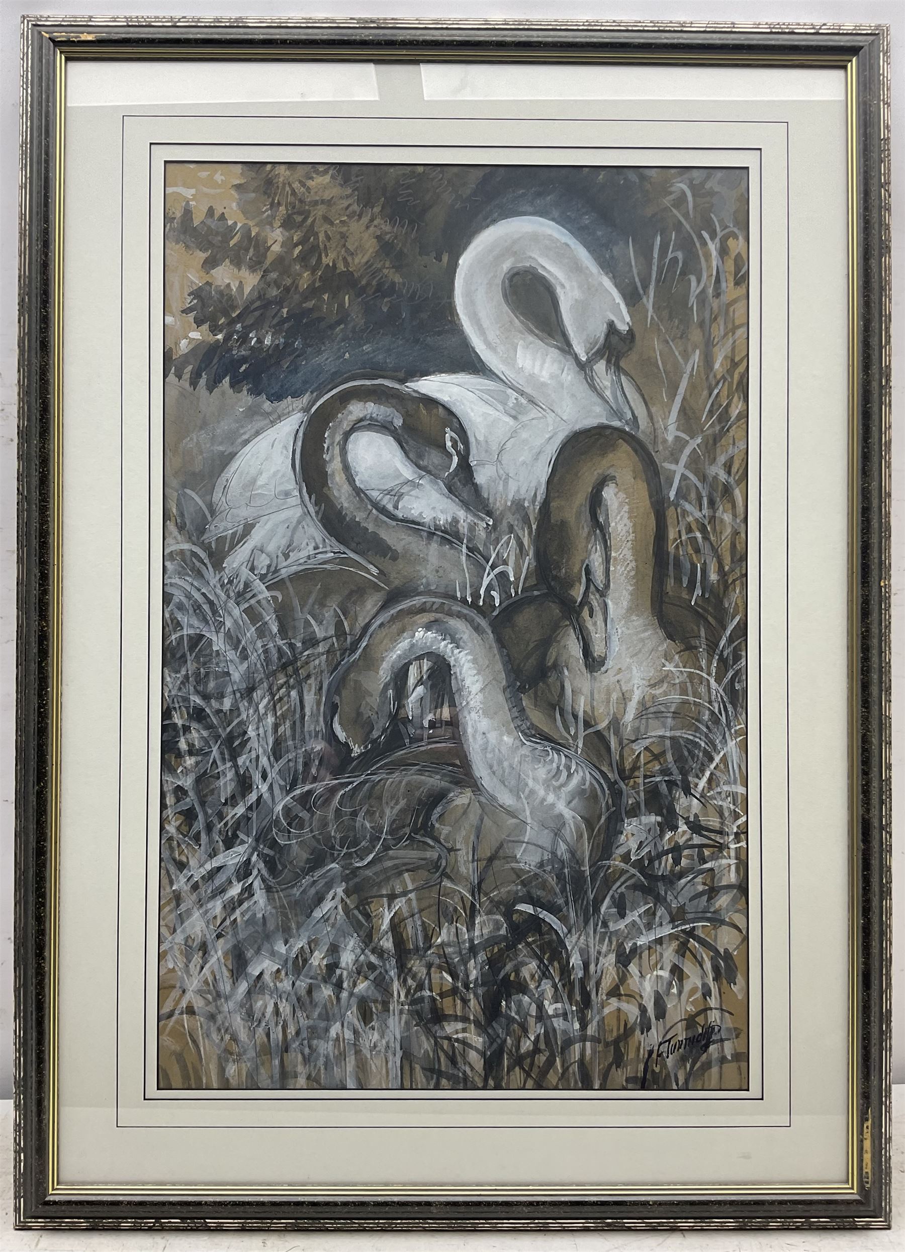Charles Frederick Tunnicliffe (British 1901-1979): Four Swans, watercolour gouache charcoal and pencil signed, a preparatory sketch for a larger painting 66cm x 42cm
Provenance: private collection; with Park Lane Galleries, Poynton, Cheshire
