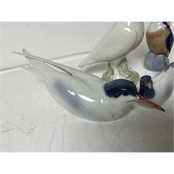 Seven Royal Copenhagen figures, including Arctic tern no 827, Swan no 755, Kingfisher no 2257 etc, together with Royal Copenhagen dish