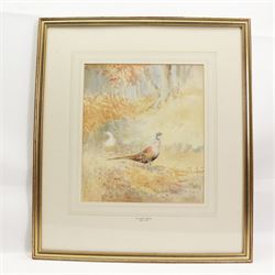 Roland Green (British 1890-1972): Sketch of a Pheasant, watercolour signed 33cm x 30cm 