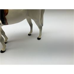 Beswick model of a huntswoman on grey horse model no 1730, and Beswick huntsman on brown horse model no 1501, both with printed mark beneath. 