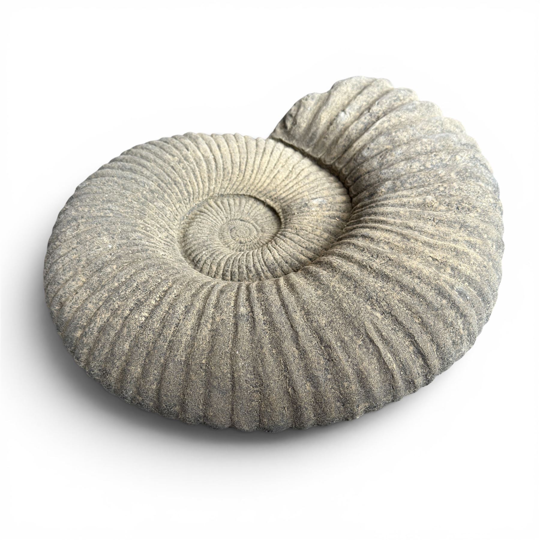 Set of three weathered cast stone wall plaques modelled in relief as ammonite fossils, of graduating size, each with wire hanging loop verso, max W45cm 