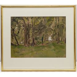 Fred Lawson (British 1888-1968): Sun Through the Trees, watercolour and ink heightened with white signed 26cm x 35cm