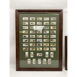 Four mounted and framed sets of cigarette cards comprising Players Game Birds & Wild Fowl; Ogdens British Birds & Their Eggs; Wills Dogs; and reproduction Players Peter Scott's Wildfowl; various frames (4)