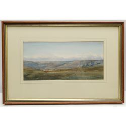 Brian Irving (British 1931-2013): Sheep on the Yorkshire Dales, watercolour signed 15cm x 31cm