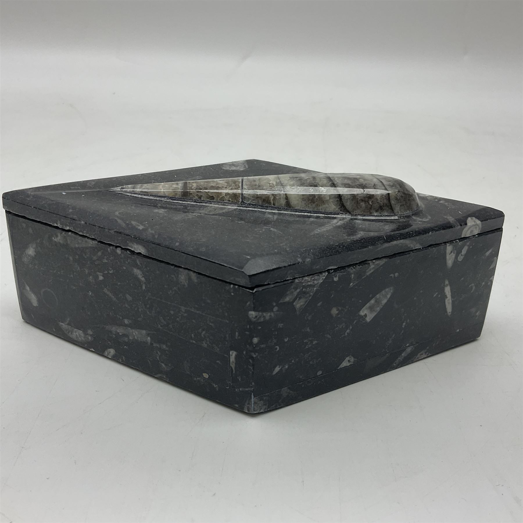 Two boxes, each in the form of a diamond with Orthoceras and Goniatite inclusions, the first with a raised Orthoceras to the lid, the second with a raised Goniatite to the lid, age: Devonian period, location: Morocco, L17cm, H5cm 