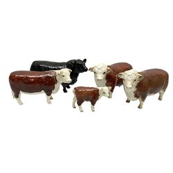 Five Beswick cows, comprising Aberdeen Angus cow, approved by the Aberdeen Angus Cattle Society no. 1562, Two Hereford Bulls, 'Ch. of Champions' no. 1363, Hereford  cow 'Ch of Champion' no. 1360, and calf no.1827, all with printed mark beneath 