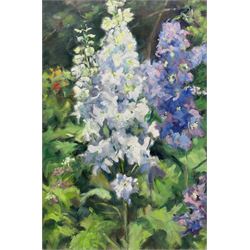 Catherine Tyler (British 1949-): 'Garden Delphiniums', oil on canvas signed and dated 2013, titled verso 76cm x 51cm (unframed)