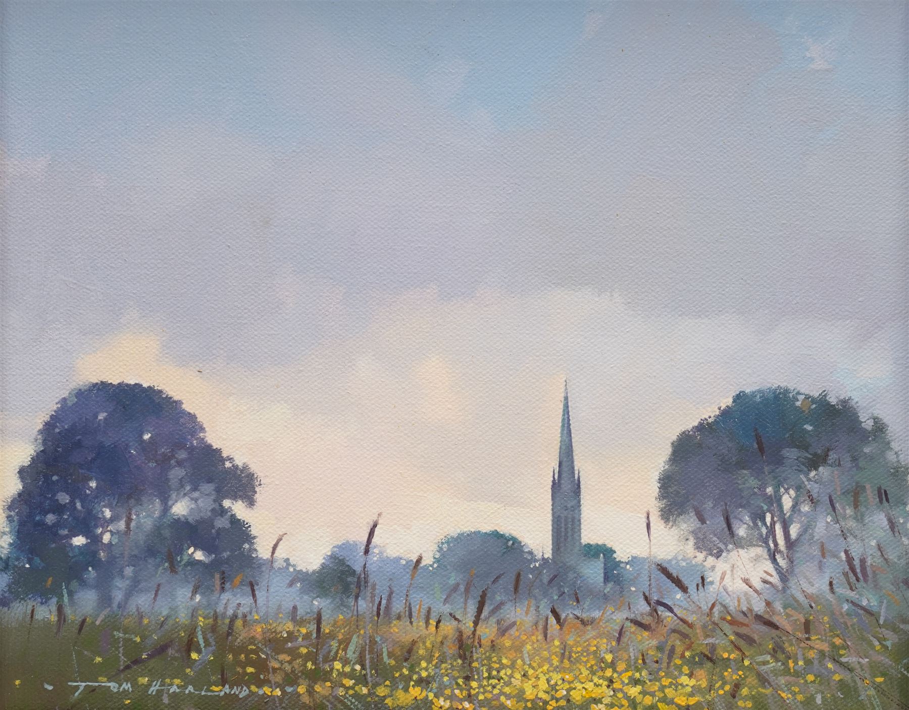 Tom Harland (Yorkshire 1945-2012): 'A Rash of Buttercups - South Dawton', oil on canvas signed, titled verso 20cm x 25cm