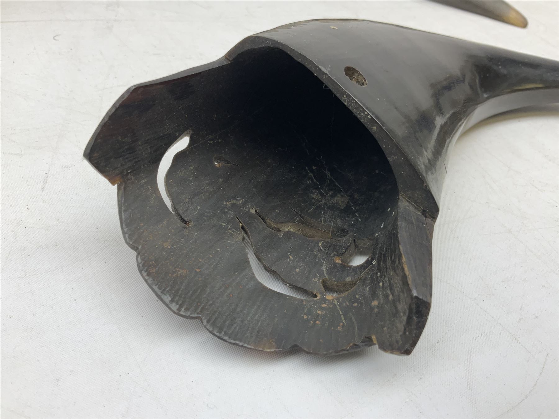 Carved water buffalo horn wall pocket, engraved with landscape scene with patterned borders with pierced foliate panel, together with a pair of horns with similar engraved decoration, L47cm