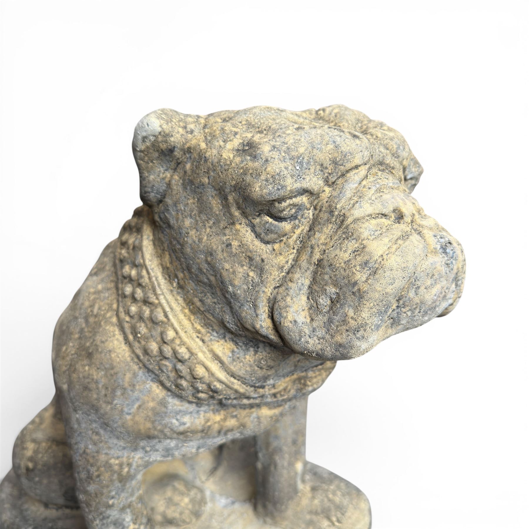 Cast stone garden statue on the form of a seated British bulldog with studded collar on a shaped rectangular base