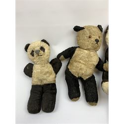 Seven English panda bears c1930s-50s including two Pedigree with plastic dog type noses H11.5