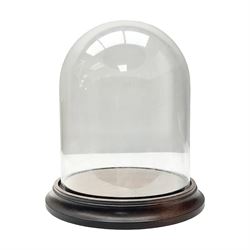 Small glass dome upon a circular wooden base, H20cm