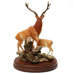 Border Fine Arts group 'Red Hind, Follower & Calf', another of a deer by James Harvey 262/850, another 'Red Hind & Calf' by David Walton and a Sherratt & Simpson group of deer (4) 