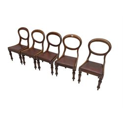 Set five late 19th century mahogany dining chairs, balloon back over oxblood leather drop-in seats, raised on tapered lappit supports