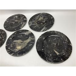 Five large circular plates, each with Orthoceras and Goniatite inclusions, age: Devonian period, location: Morocco, D29cm