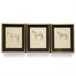 Joseph Appleyard (Yorkshire 1908-1960): Horses 'Midas' 'The Yuvaraj' and 'Senor Brume', set of three preliminary pencil sketches unsigned, variously inscribed 22cm x 17cm (3)