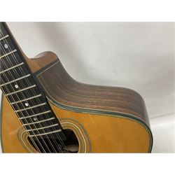 Brazilian Giannini Craviola twelve string acoustic guitar, with Fishman Premium Blend onboard pickup, in fitted hard case 