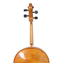 19th century cello, with two piece back, ebonised finger board and pegs, contained within Hiscox Lifelite case, cello back length 76cm