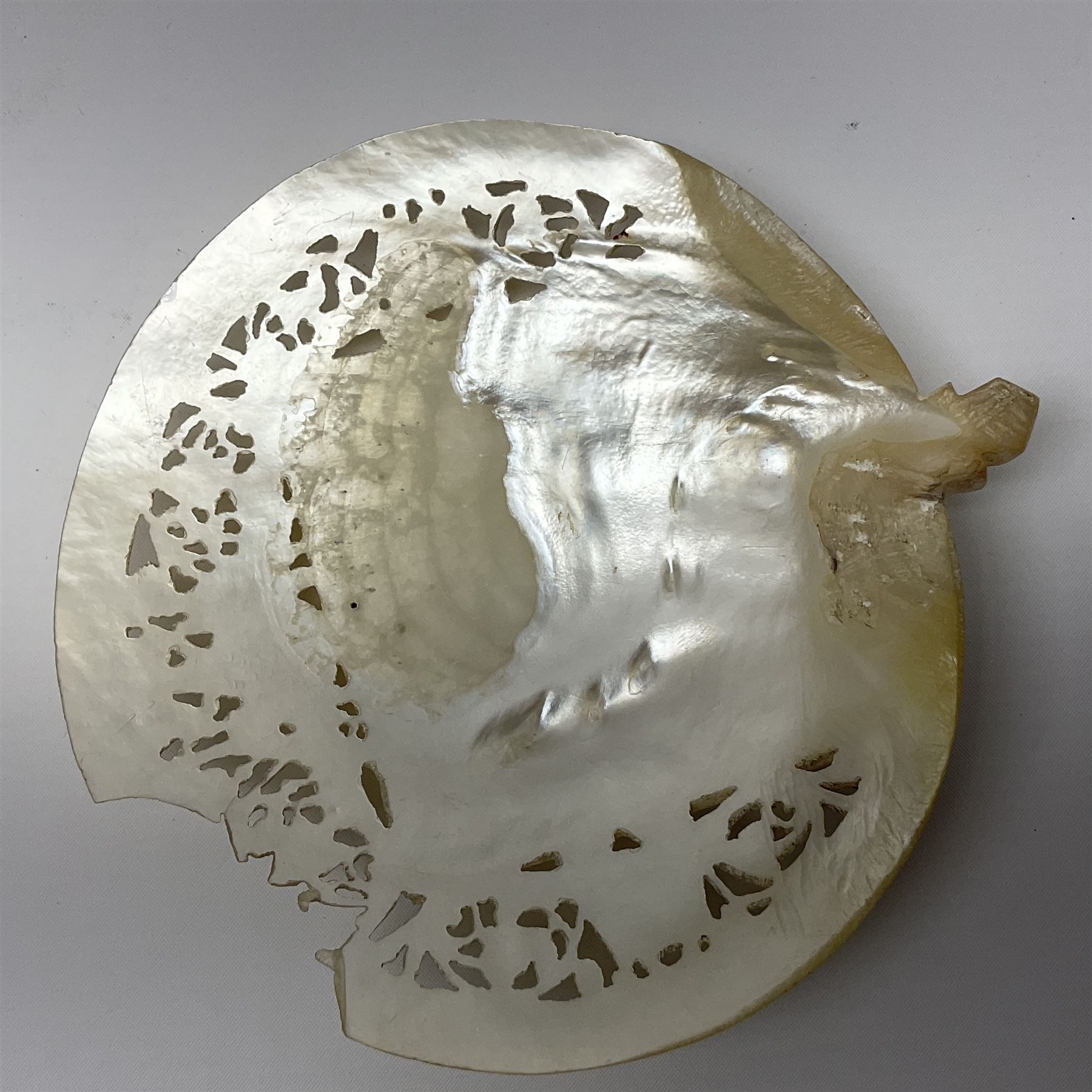 Mother of pearl nativity scene, together with mother of pearl box, shell and carved shell