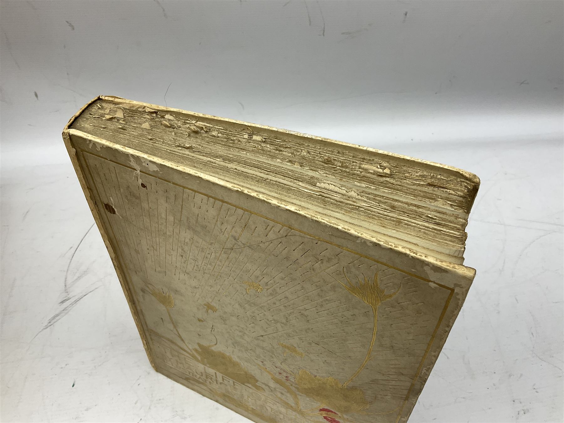 Maurice Maeterlinck: 'The Life of the Bee', illustrated E.J. Detmold, 13 mounted coloured plates, pub. Geo. Allen & Co. Ltd. London, 1911,