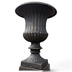 Pair of Neoclassical design black and gilt painted cast iron garden urns of campana form, with egg-and-dart rims and fluted bodies, on knopped stems, fluted socles and stepped square plinth bases