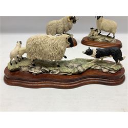 Three Border Fine Arts figures, comprising Black Faced Ewe and Collie, Black Faced Tup and Black Faced Ewe and Lambs, all with original boxes 