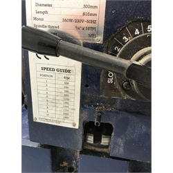 Draper WTL90 wood turning lathe on stand and dust extractor