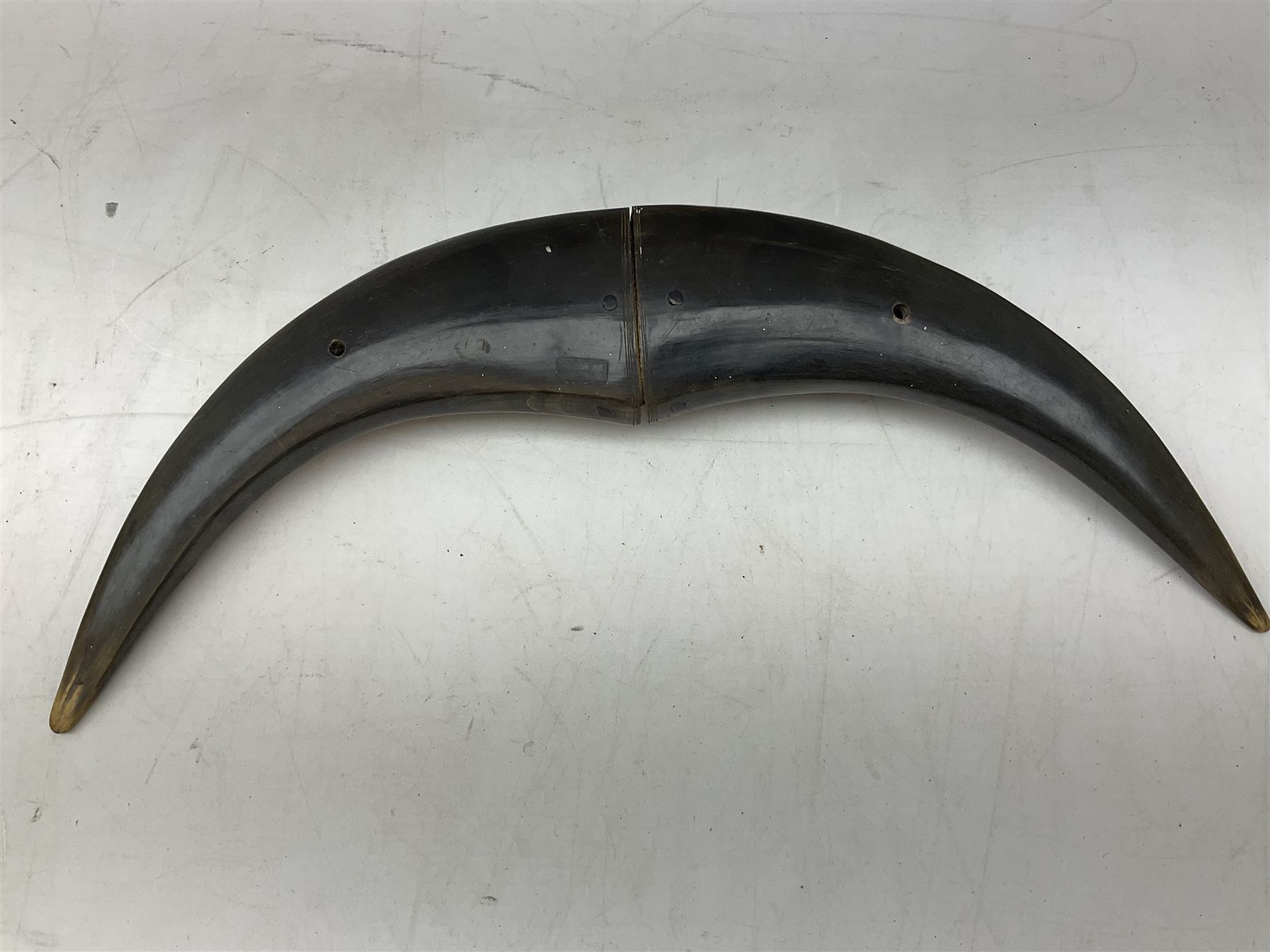 Carved water buffalo horn wall pocket, engraved with landscape scene with patterned borders with pierced foliate panel, together with a pair of horns with similar engraved decoration, L47cm