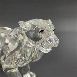 Six Swarovski Crystal big cat figures, to include lion, two lion cubs, tiger etc 