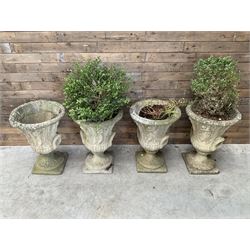 Set of four Victorian design cast stone Grecian urns, tapering form cast with figures and handles, square plinth bases