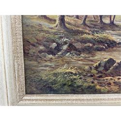 Sidney Yates Johnson (British fl.1890-1926): 'Lynmouth - Devon' Landscapes, pair oils on canvas signed with monogram, titled verso 45cm x 26cm (2)