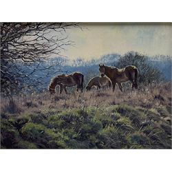 Stephen Hawkins (British 1964-): 'Ponies in the Downs', oil on canvas signed, tilted verso 29cm x 39cm