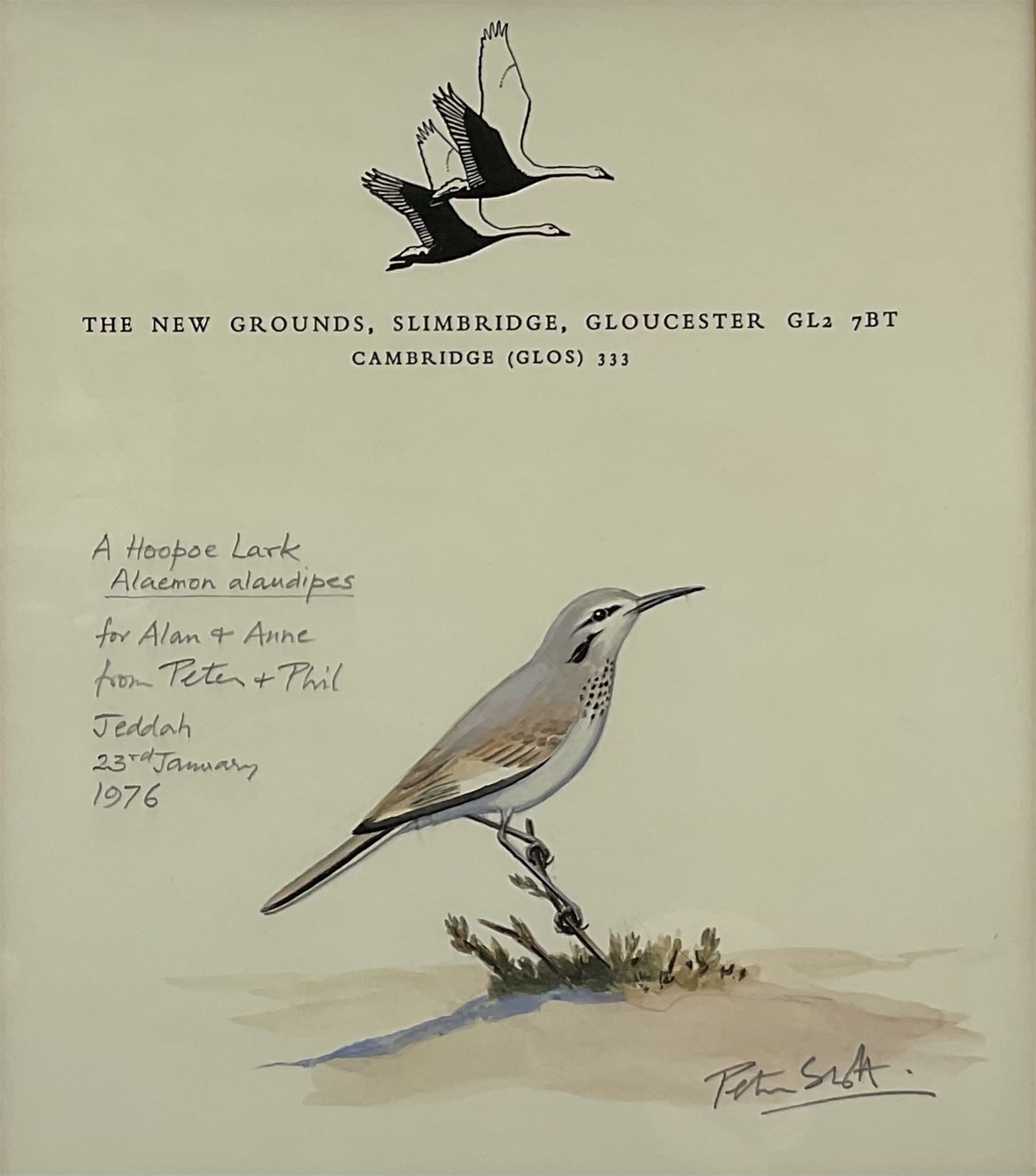 Sir Peter Markham Scott (British 1909-1989): 'A Hoopoe Lark', watercolour on headed notepaper signed titled inscribed and dated 'Jeddah 23rd January 1976', 18cm x 16cm